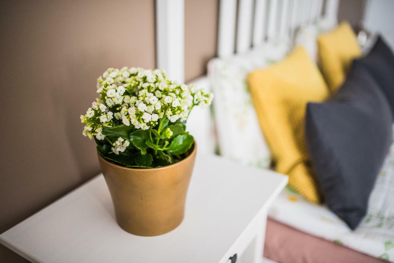 Sunshine Apartment Lipawa Zewnętrze zdjęcie